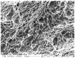 6aaf991e0590a.png