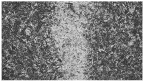 6aaf997f56686.png